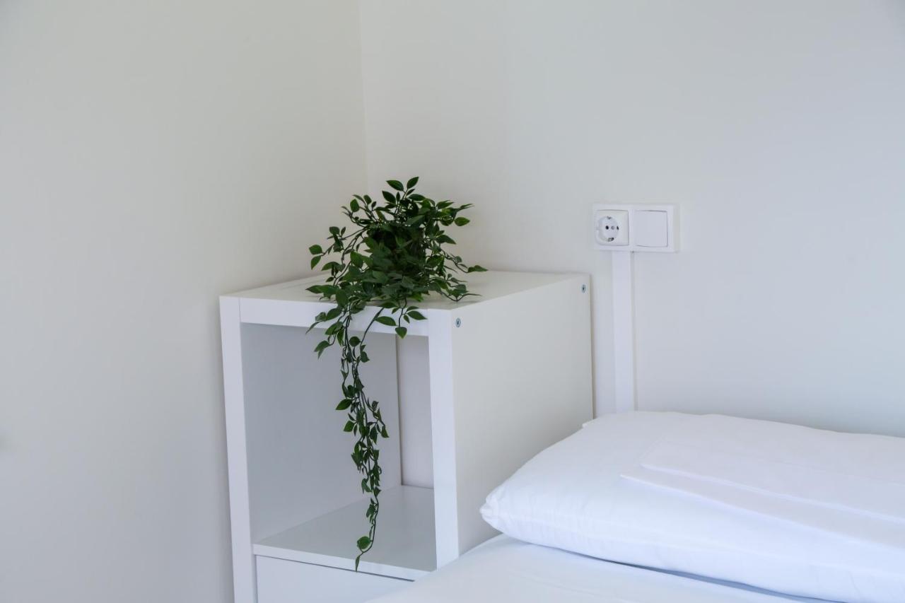 Aterpe Kanpezu Hostel Santa Cruz de Campezo Eksteriør bilde